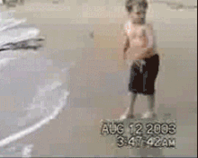 gifs-for-fun:  He knows what’s up. 