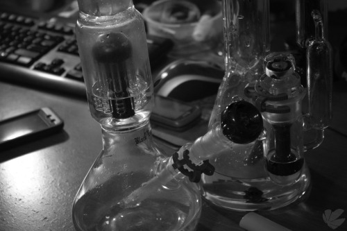 weedporndaily:  fresh glass