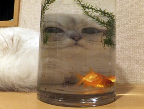 tumblr photo got-no-meaning-just-a-rhyme 0
