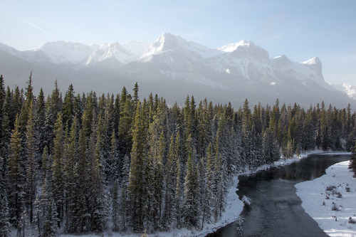 The Grassi Peaks