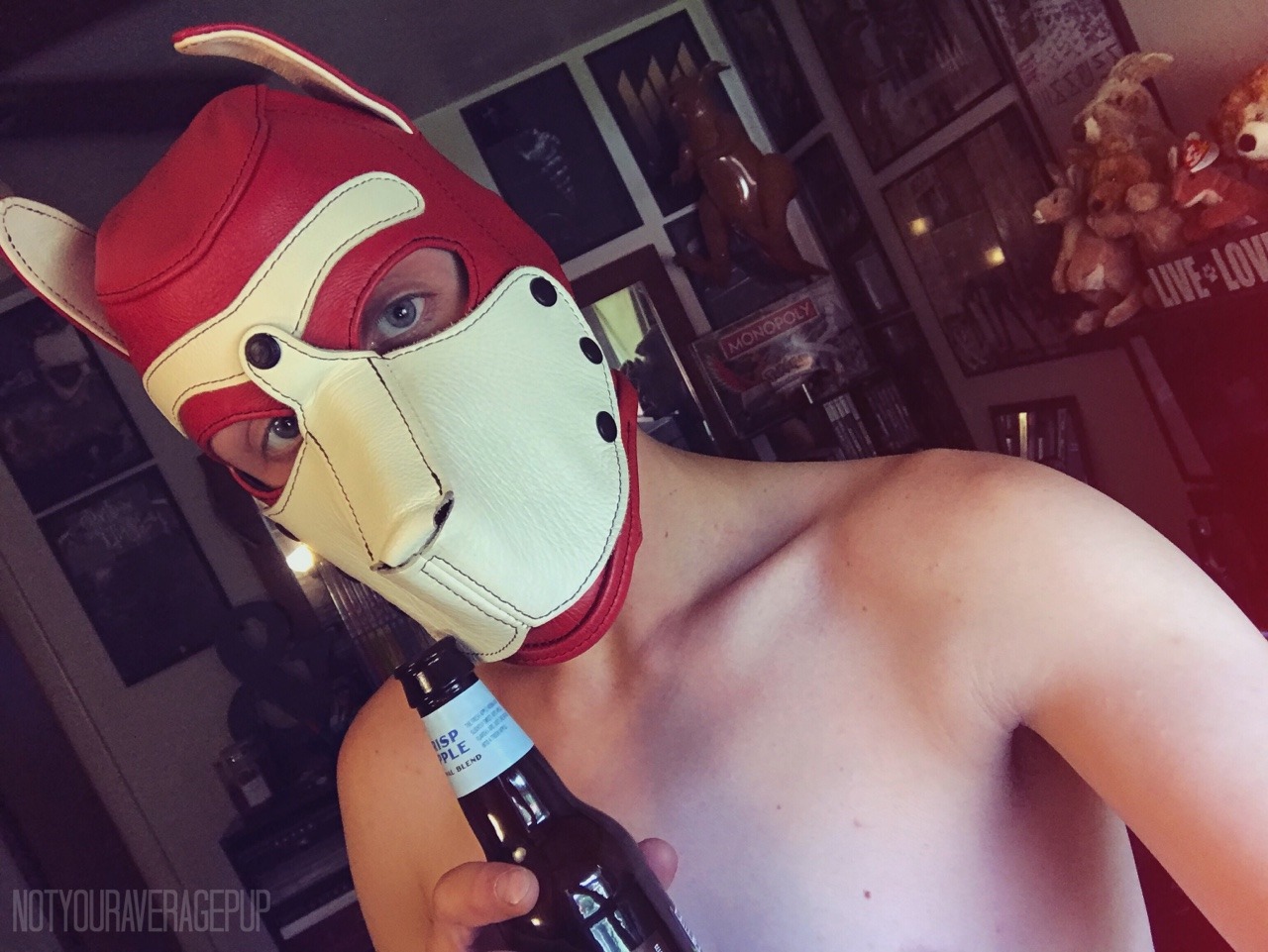 notyouraveragepup:  CHEERS! 🍻  To all the pups who are just like me!   -No Lover