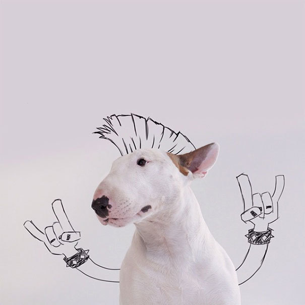 the-awesome-quotes:  My Wife Left Me With Nothing But A Dog, So I Started This Fun
