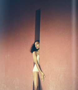Angryblackgirlrants:  Mangoestho:  Effyeahsol-Angel:   My Album, A Seat At The Table,