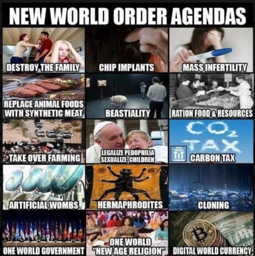 At Least 8 Million People Have Invaded Our Country Since The Illegitimate Biden Regime Took Office In