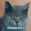 notthebreadyourlookingfor