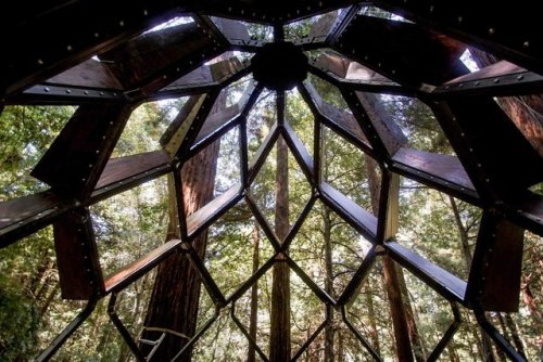 archatlas:Pinecone Treehouse O2 Treehouse with Sheet Metal AlchemistAn activation for Glade, the O2 