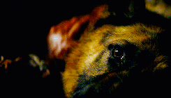 world-of-walkers:  She’s not sick. She’s dead. Why would you say that? ‘Cause