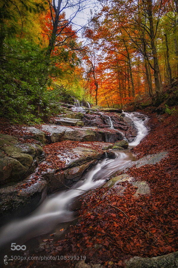morethanphotography:  Colours explosion by fcojosesoto