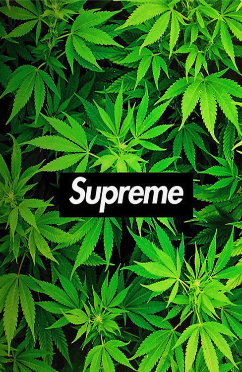 pineconeherb:     Weedpreme by MrWhite    