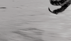 kaneabigails:  Harry Potter Series [3/8] ≡  Harry Potter and the Prisoner of Azkaban The ones that l