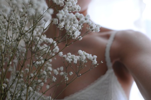 Baby’s Breath.