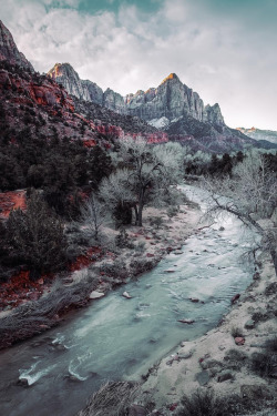 lsleofskye:  Zion National Park