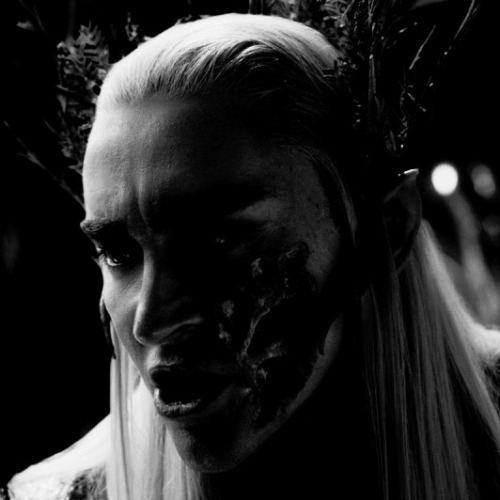 aranelelessar:Do not speak to m e of dragon f i r e. I know its wrath and ruin.
