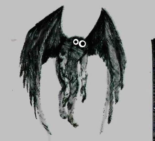 shittycryptids:I remember y'all mentioned an other cryptid but with googly eyes, so here’s mot