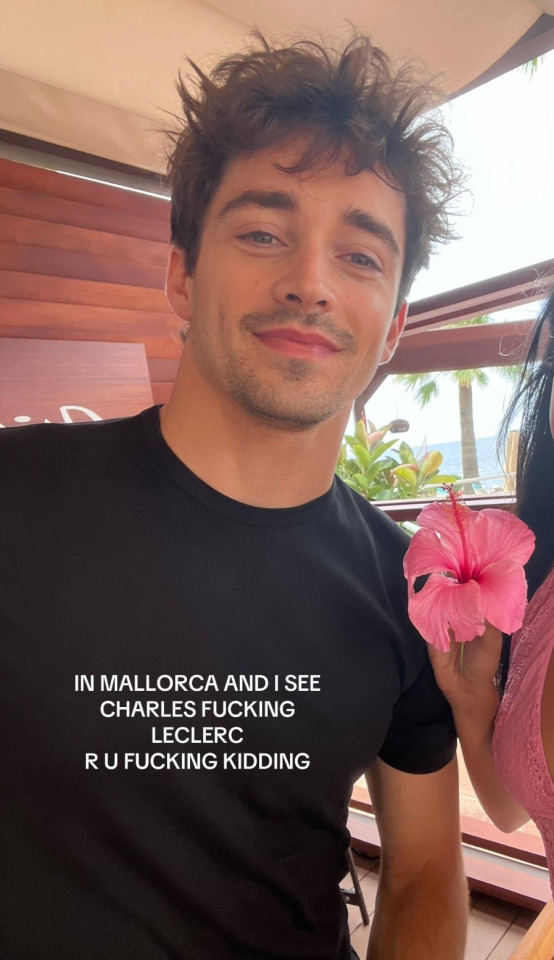 Tumblr media