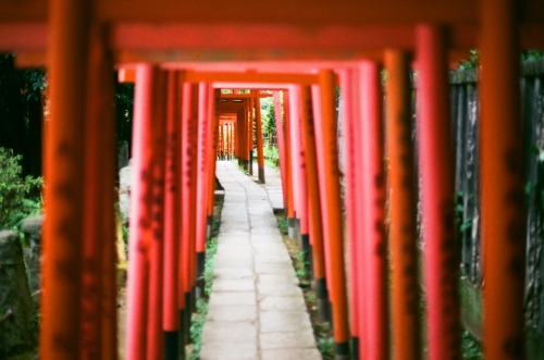 zyu10:Tokyo, Japan, 2015