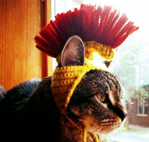 feelbloue: thetwelvecaesars: feelbloue: “ Romanes ibimus ad Carthagam” My new crochet pr