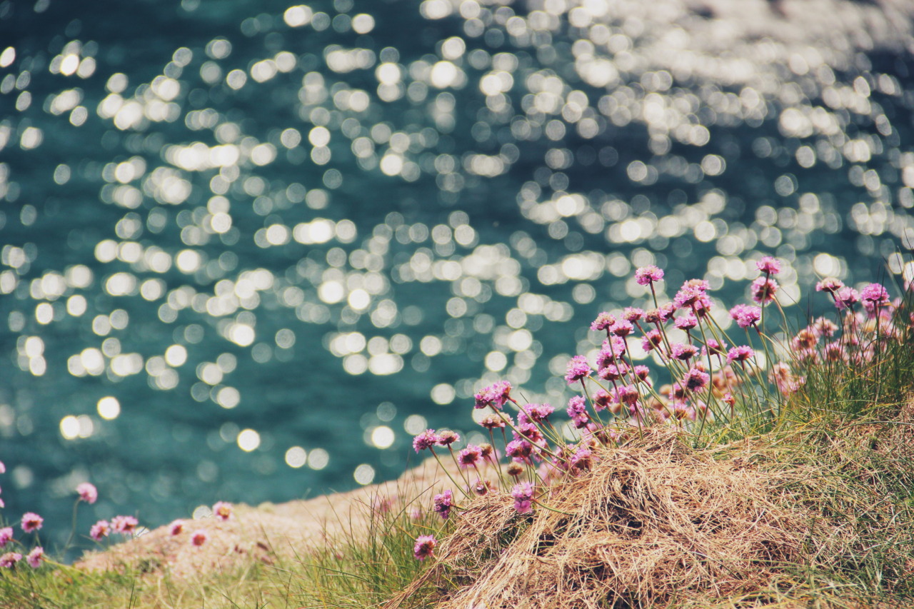 azaaganaa: Cruden bay - Aberdeenshire - Scotland - UK  photography: Azaa Ganaa 