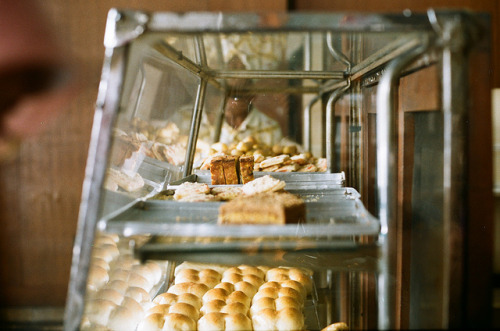 adorus:  untitled by yttria.ariwahjoedi on Flickr. 
