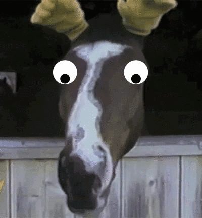 tumblr_mwhlm3FtIz1ry46hlo1_r1_400.gif
