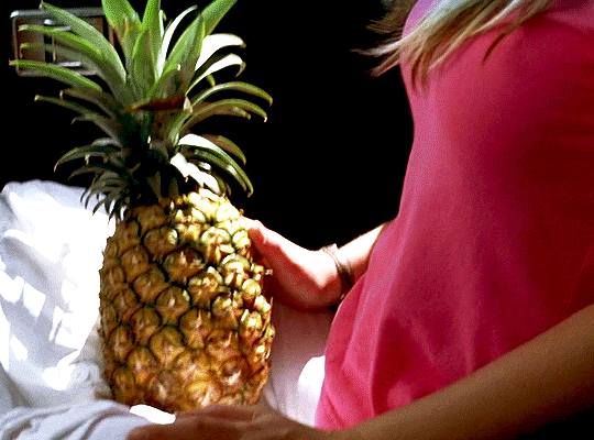 50 First Dates Gif Explore Tumblr Posts And Blogs Tumgir