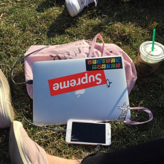 Tumblr media