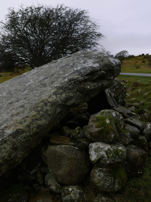 Cors Y Gedol Burial Chamber, nr. Barmouth, North Wales, 20.1.18.A beautiful Neolithic burial chamber