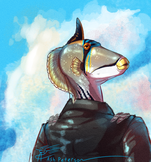 mantis-cat:Here have a mildly creepy anthro triggerfish, they are way cooler then me.People on twitt