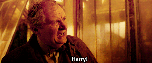 My Favourite Scenes From The Harry Potter Movies