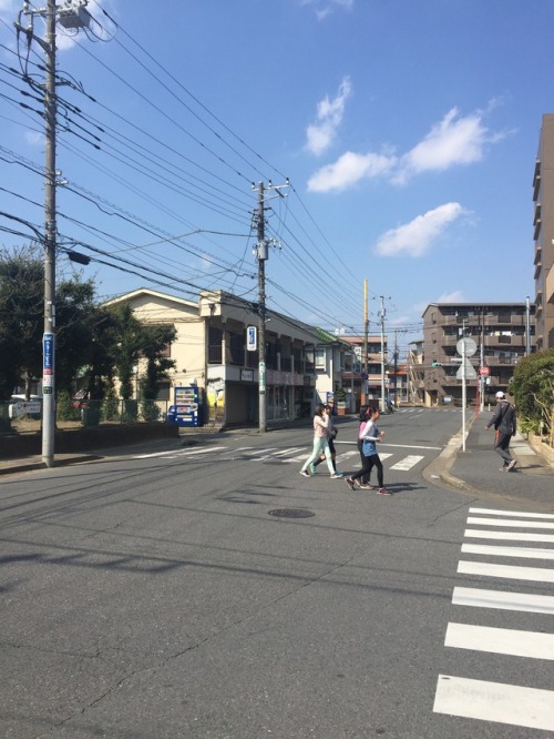 tokyomicma:  cherry blossoms + a taste of my commute home