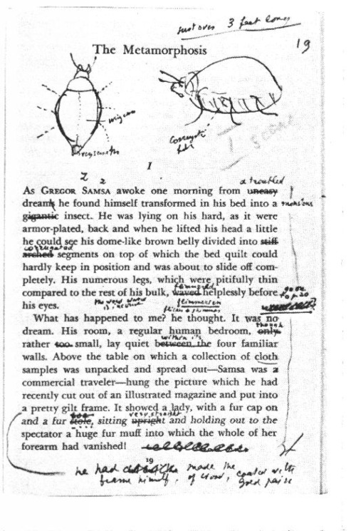 fuckyeahfranzkafka: Franz Kafka Says the Insect in The Metamorphosis Should Never Be Drawn; Vladimir