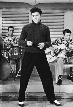 Elvis x male reader!