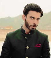 dildaar:Fawad Khan as Vikram Singh Rathore