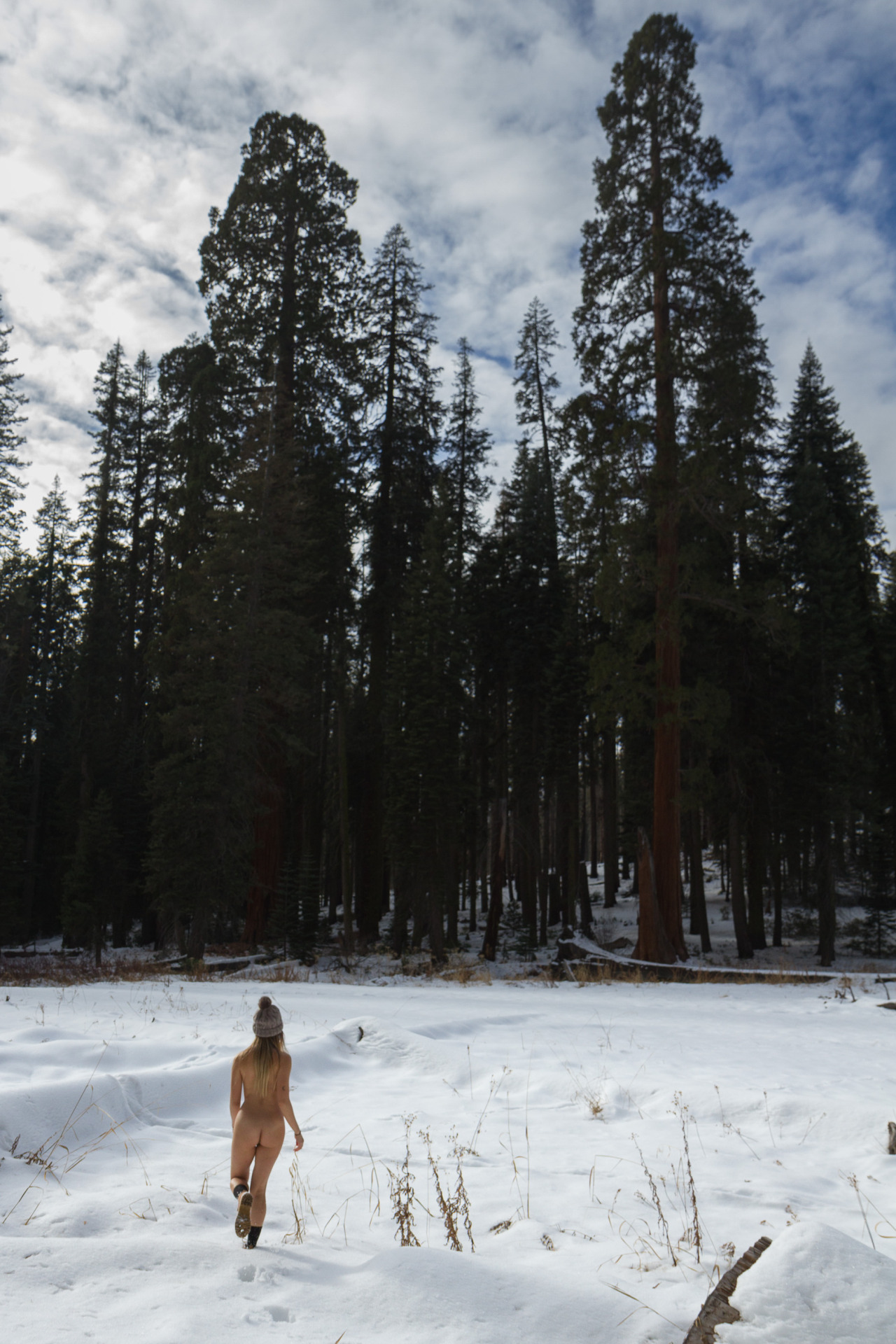 openbooks:When you have a snow filled, redwood ringed meadow to yourself in the Sierras…Tasha