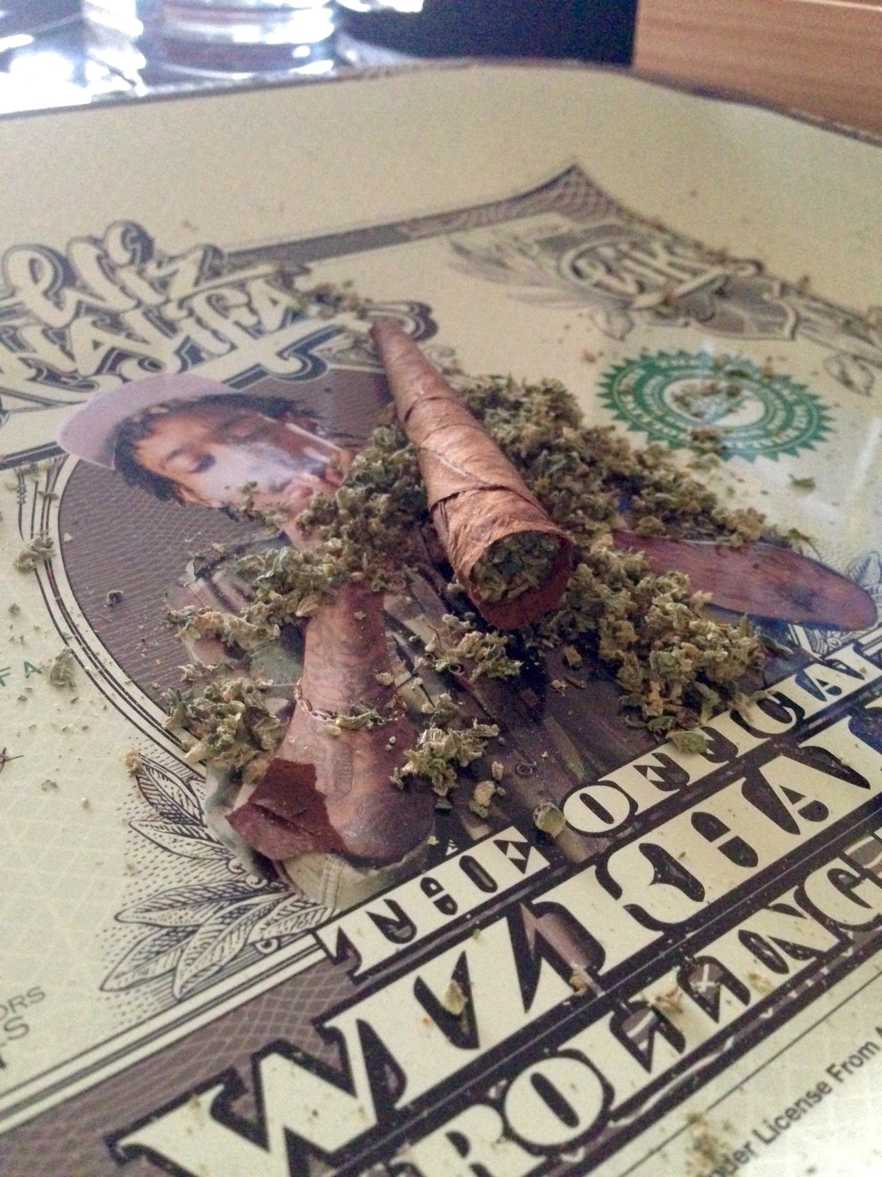 The Real Nancy Botwin