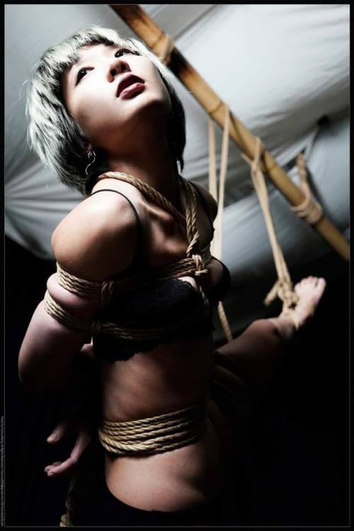 justscreenshots:Shibari MayaModel 有芳 Photo Franco Wang