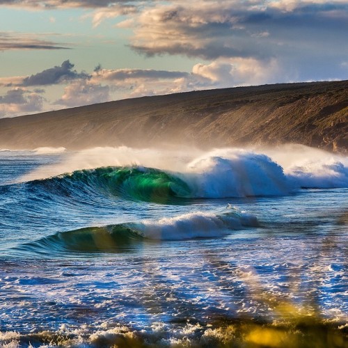 sonsofkerouac: Autumn is finer on the Gold Coast…Photo: Andrew Semark