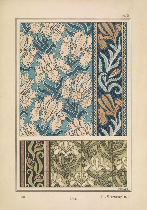 La plante et ses applications ornementales / plants and their application to ornament.1897.Edited by