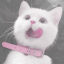 screechingmentalitystrawberry