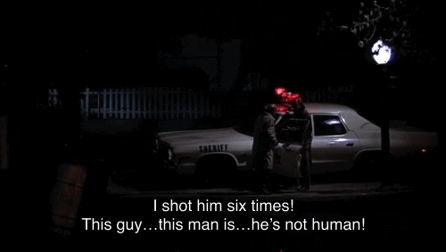 tumblr_og1amdeMLj1qaqx8xo3_500.gifv