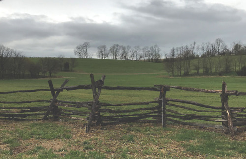 maggie-stiefvater:Yesterday I drove around Harpers Ferry &amp; Boliver, WV, prowling for a very 