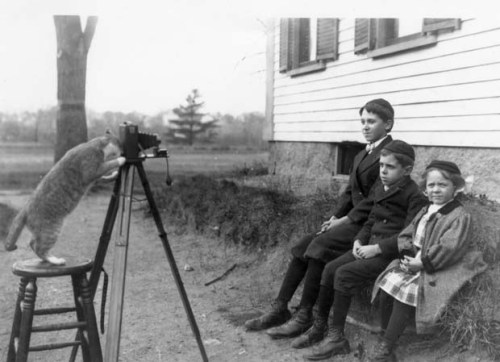 historicaltimes: The Payro family cat directs a portrait of the Payro children, Wakefield, Massachus
