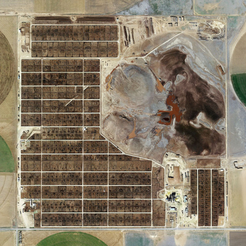 Industrialized Meat: The Landscapes of Factory Farming Feedlots are facilities used in factory farmi