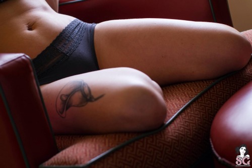 whitelatexmonkey:  Shotgun