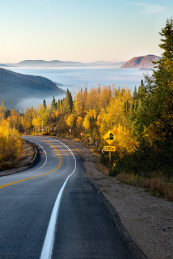 bluepueblo:  Sunrise Fog, Quebec, Canada photo via besttravelphotos 