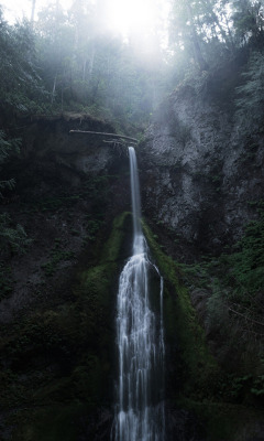 moody-nature:Haunted Falls // By Cosmo Hutman