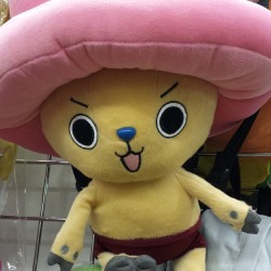 Hi Chopper! #Onepiece #Tonytonychopper #Anime #Plushies