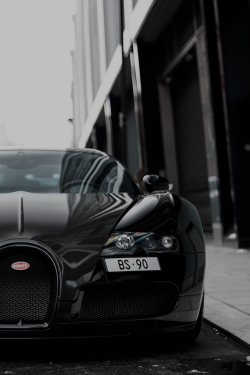 Classyxsexxy:  Sk Edition | Cxs