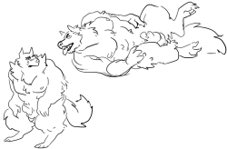 werewolf-paws:here some boners