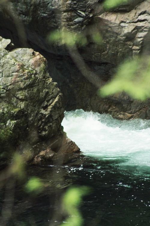 matchbox-mouse: Walking down the river, Lynn Canyon.